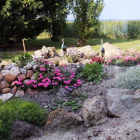 Bed and Breakfast Domaine De La Pendule Issel Exterior foto